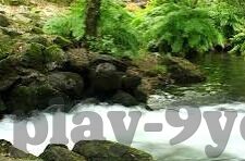 九游会体育电竞吗知乎-九游会体育电竞兴起背后的市场动力及消费者洞察
